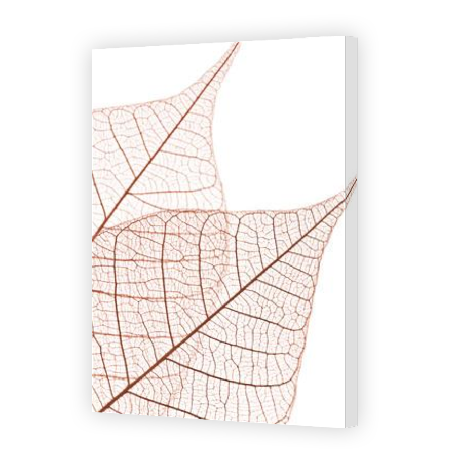 Thumbnail for Canvas - Gallery Canvas Wrap