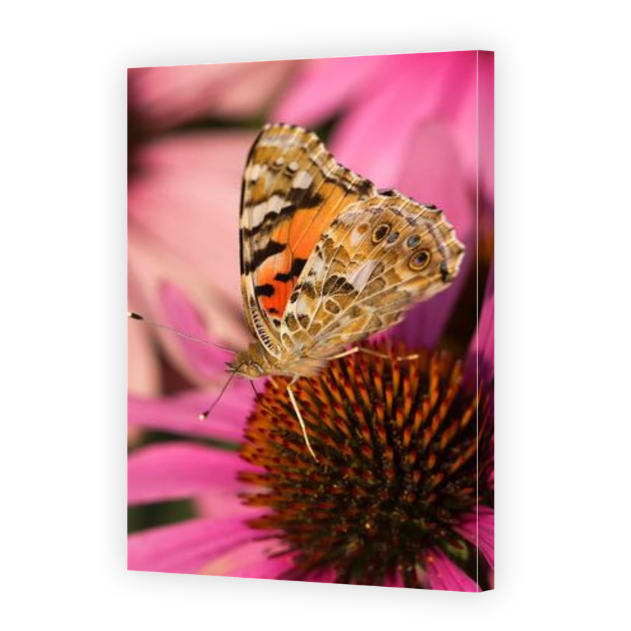 Thumbnail for Canvas - Gallery Canvas Wrap