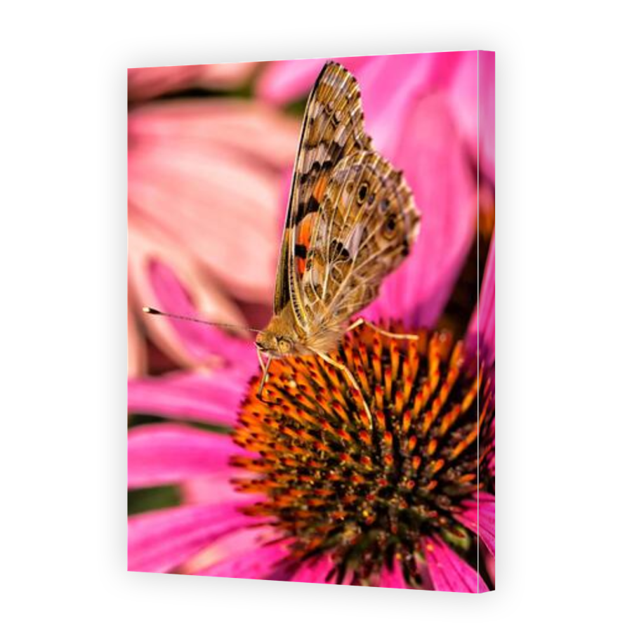 Thumbnail for Canvas - Gallery Canvas Wrap