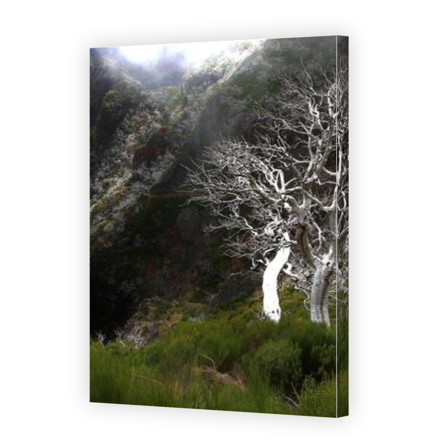 Thumbnail for Canvas - Gallery Canvas Wrap