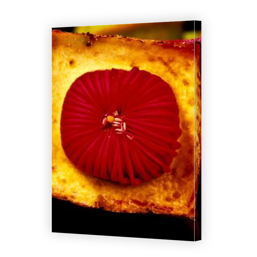 Thumbnail for Canvas - Gallery Canvas Wrap