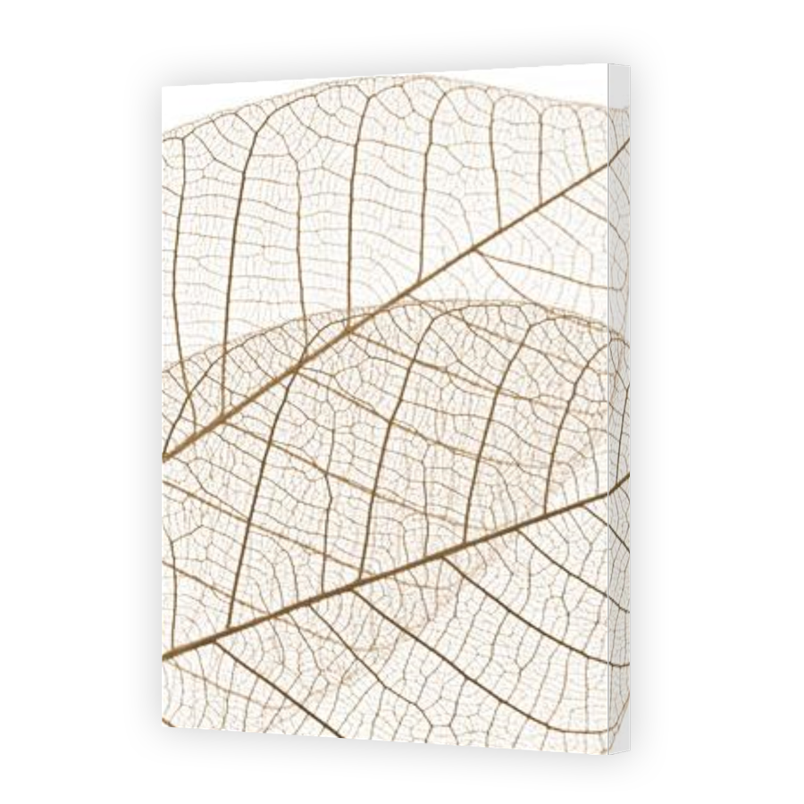 Thumbnail for Canvas - Gallery Canvas Wrap