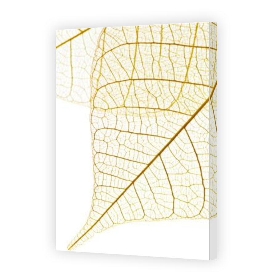 Thumbnail for Canvas - Gallery Canvas Wrap