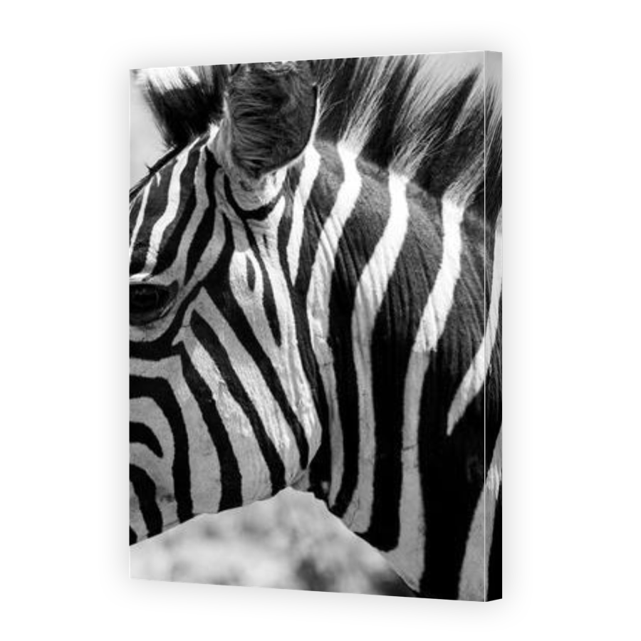 Thumbnail for Canvas - Gallery Canvas Wrap