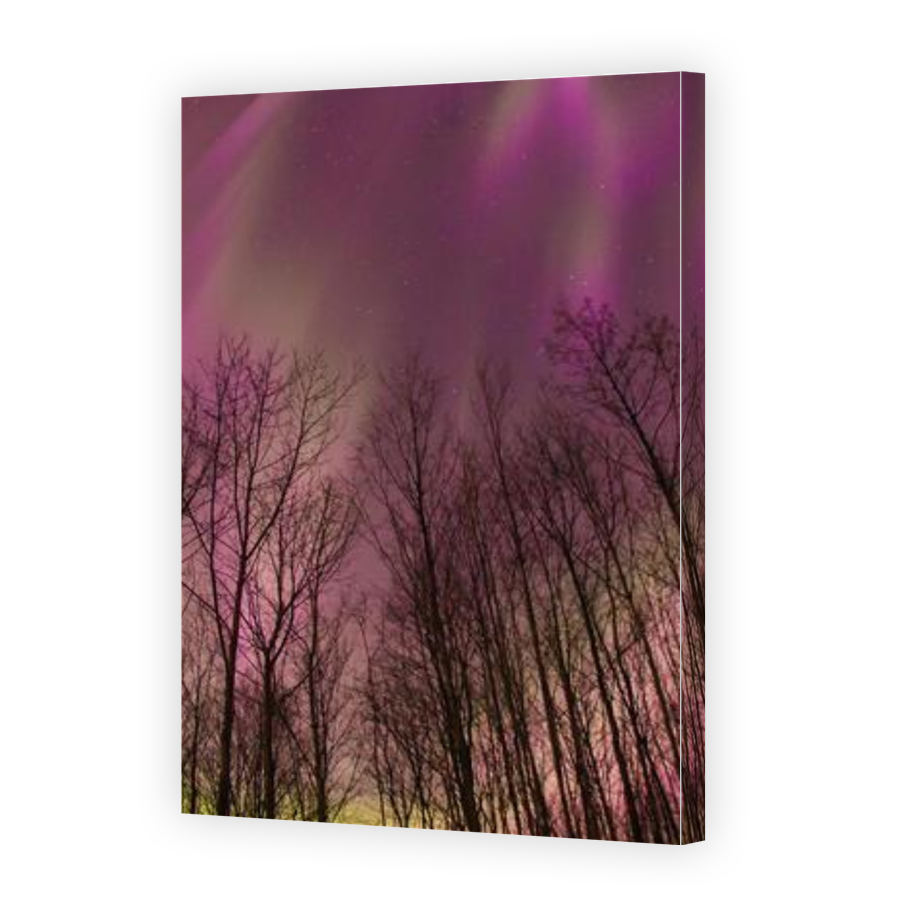 Thumbnail for Canvas - Gallery Canvas Wrap