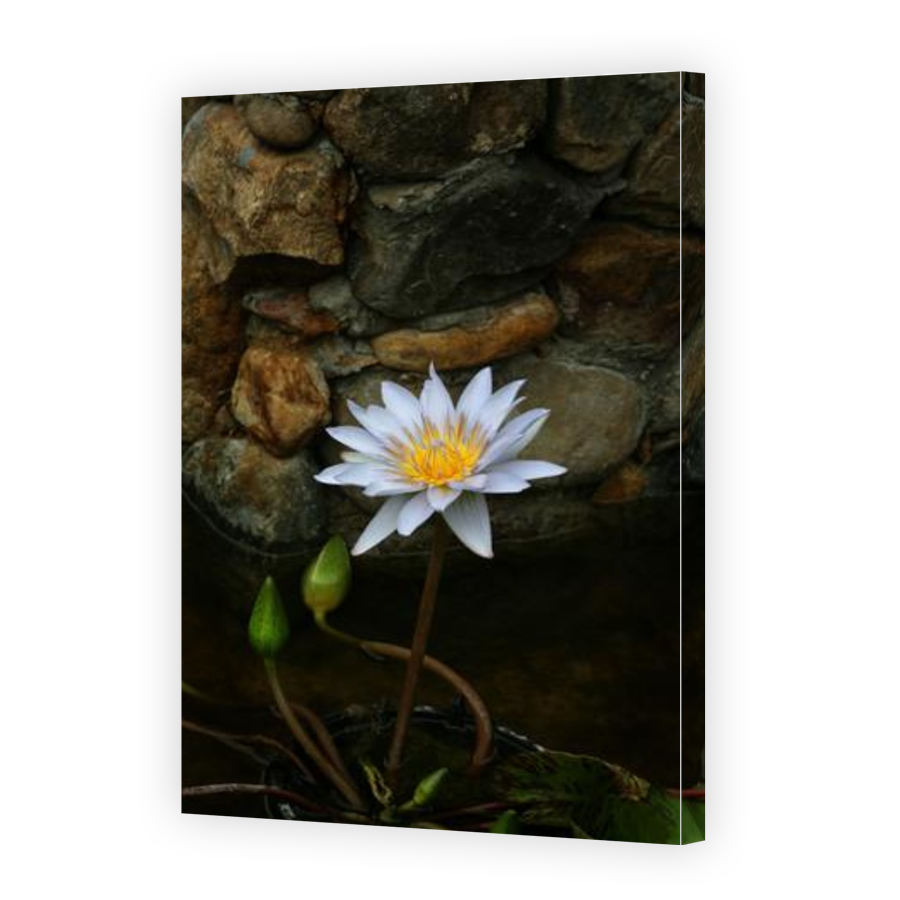 Thumbnail for Canvas - Gallery Canvas Wrap