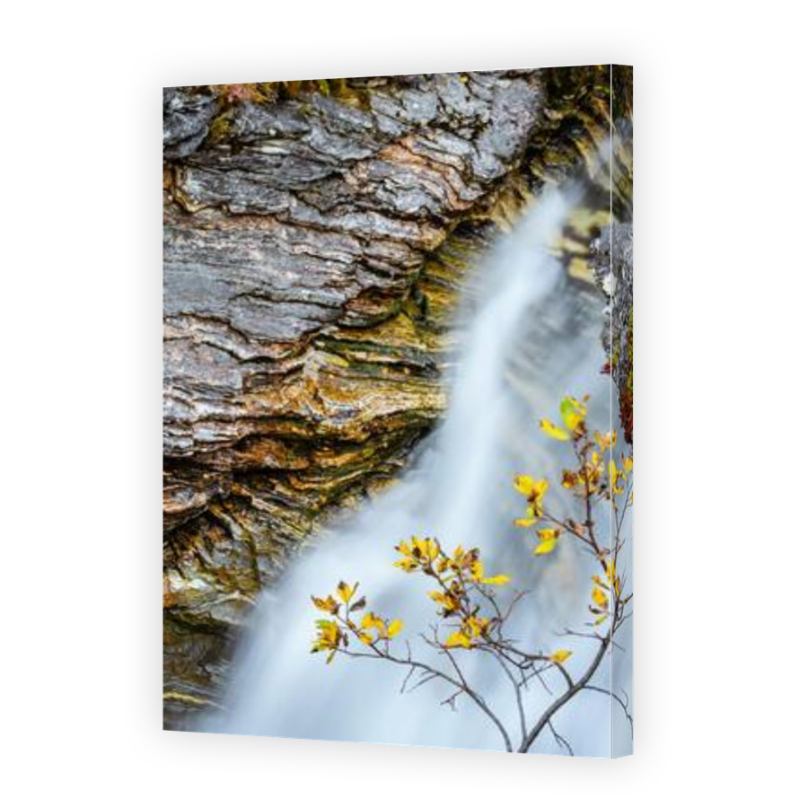Thumbnail for Canvas - Gallery Canvas Wrap