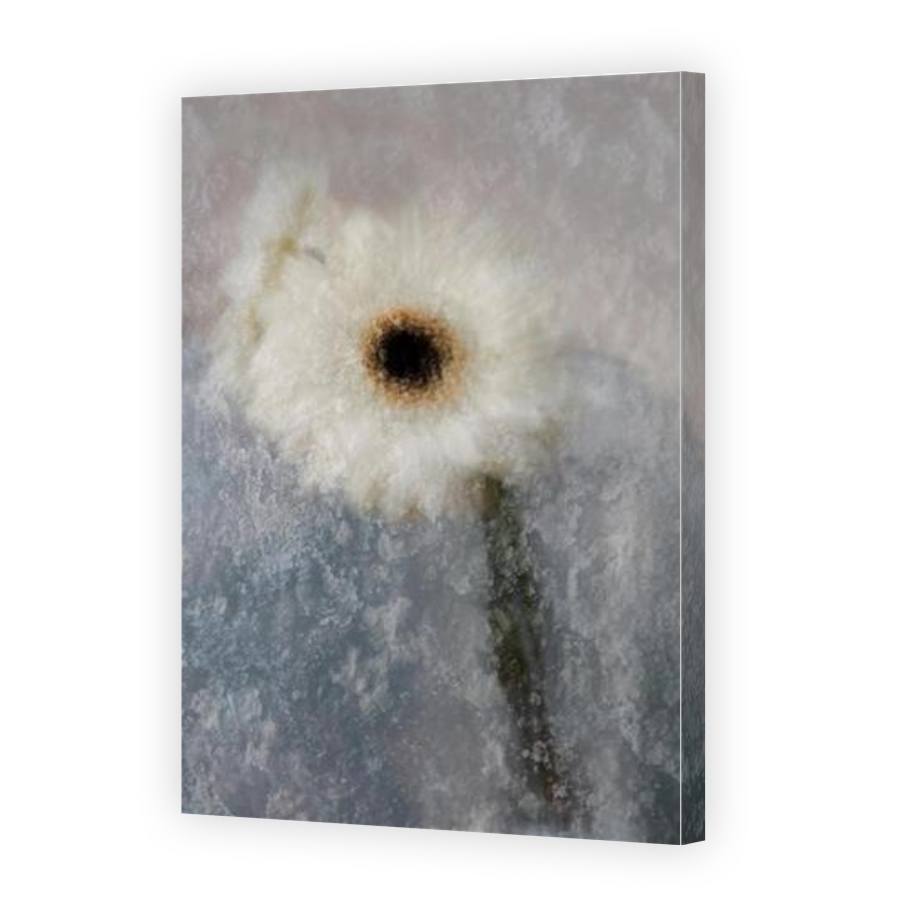 Thumbnail for Canvas - Gallery Canvas Wrap