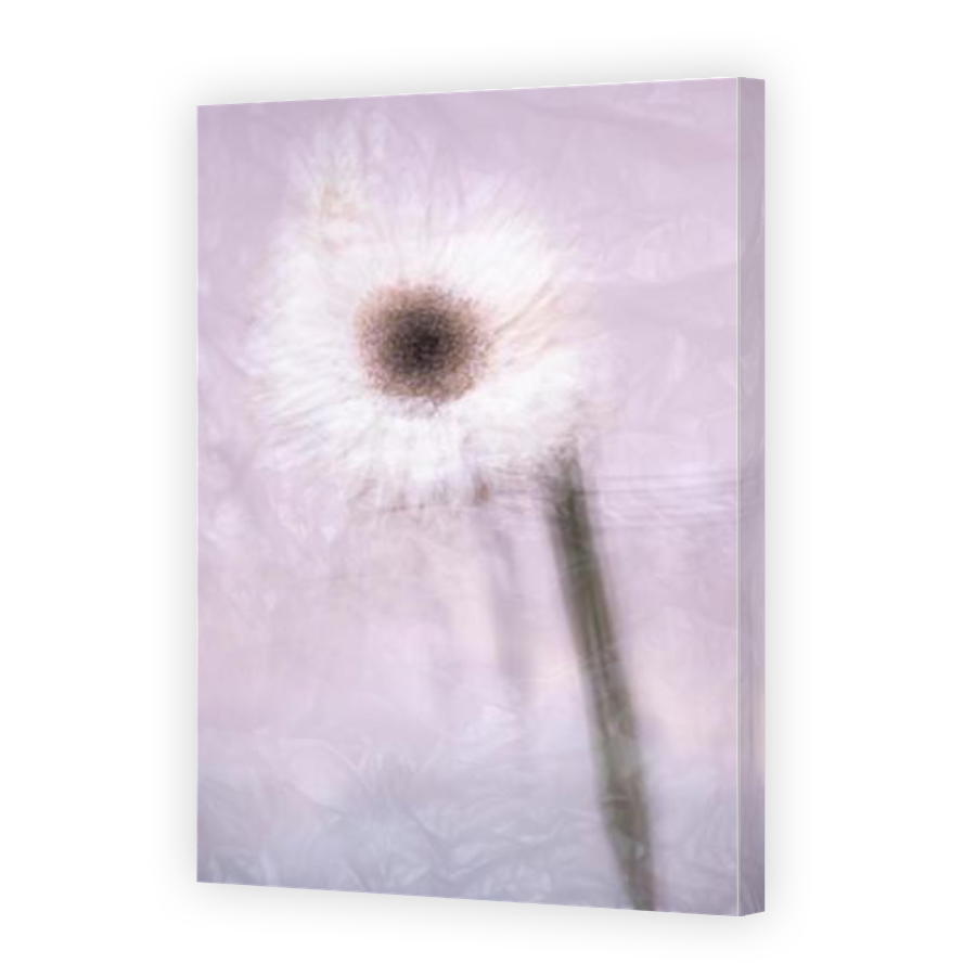 Thumbnail for Canvas - Gallery Canvas Wrap