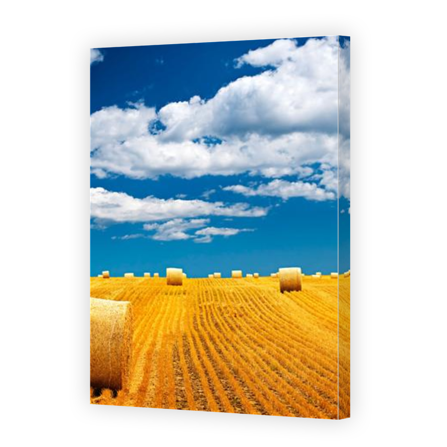 Thumbnail for Canvas - Gallery Canvas Wrap