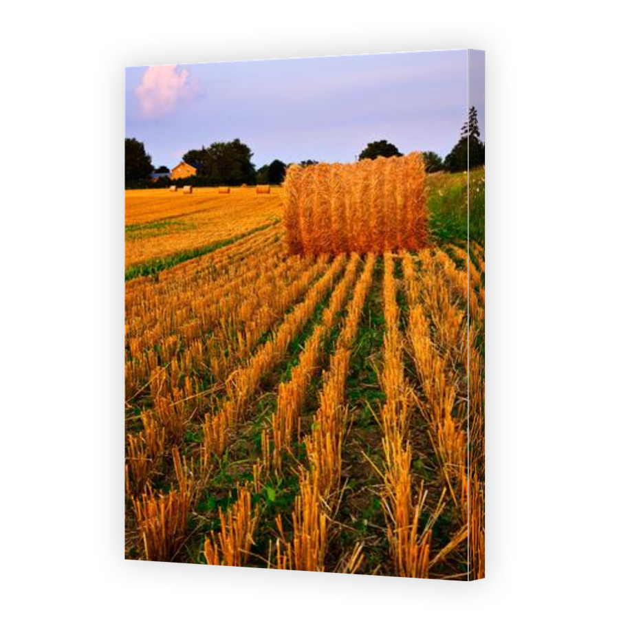 Thumbnail for Canvas - Gallery Canvas Wrap