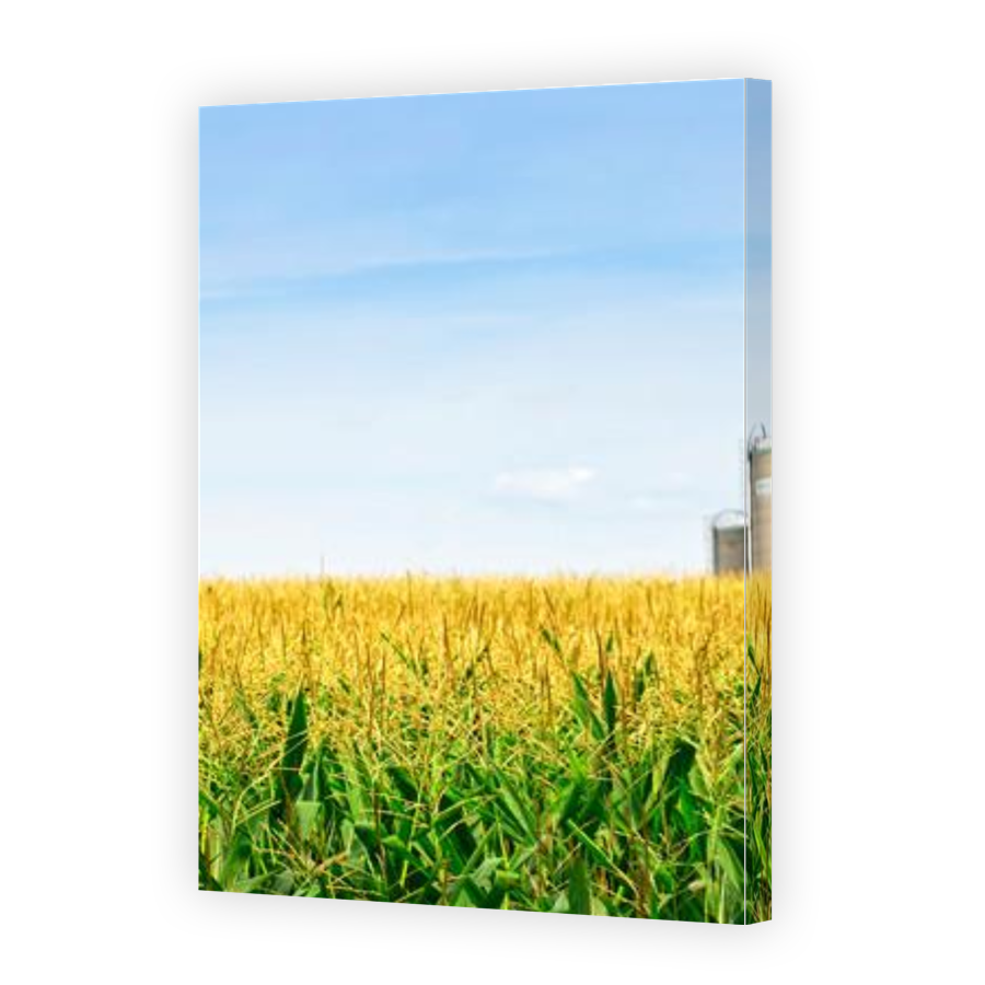 Thumbnail for Canvas - Gallery Canvas Wrap