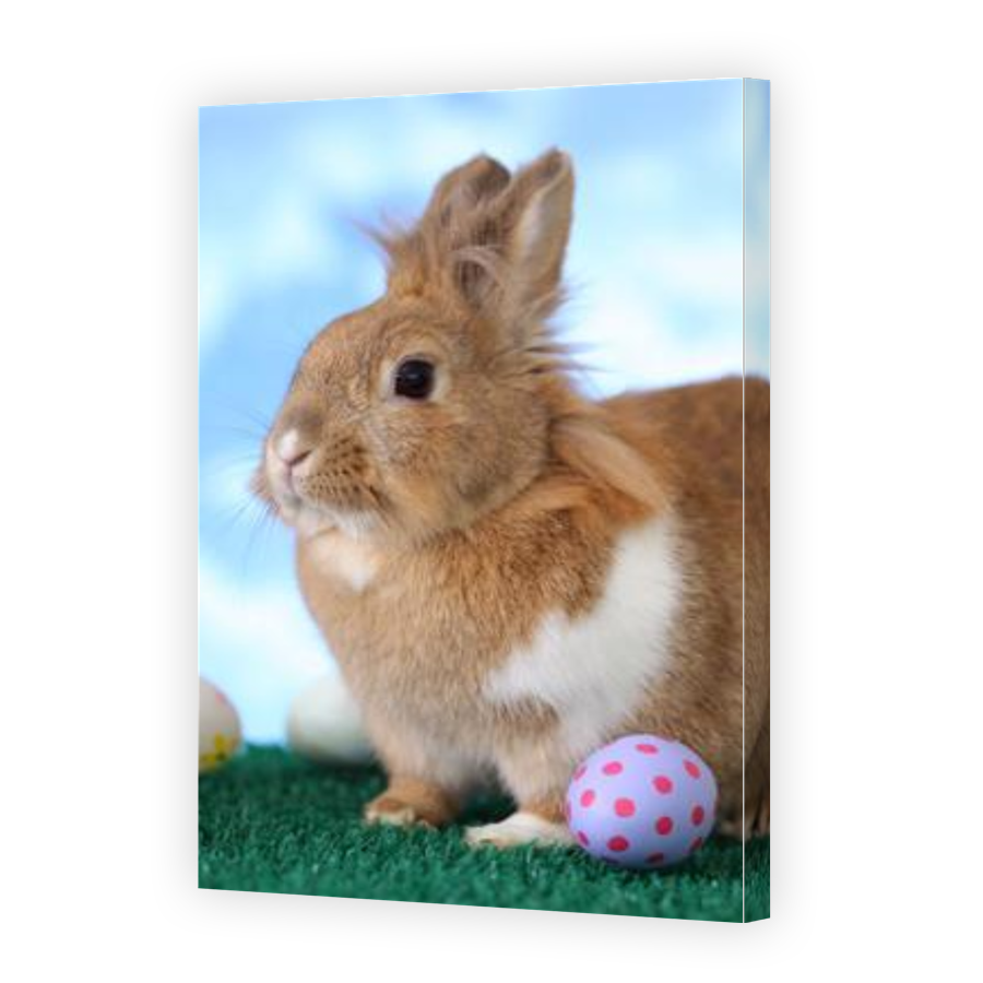 Thumbnail for Canvas - Gallery Canvas Wrap