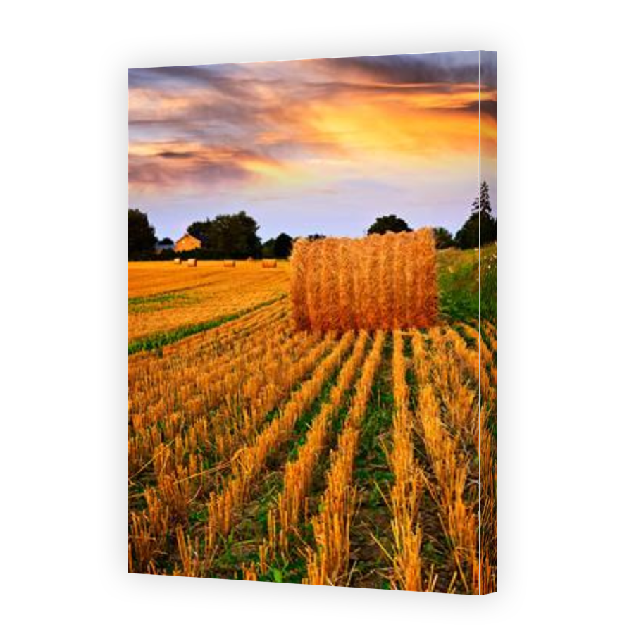 Thumbnail for Canvas - Gallery Canvas Wrap