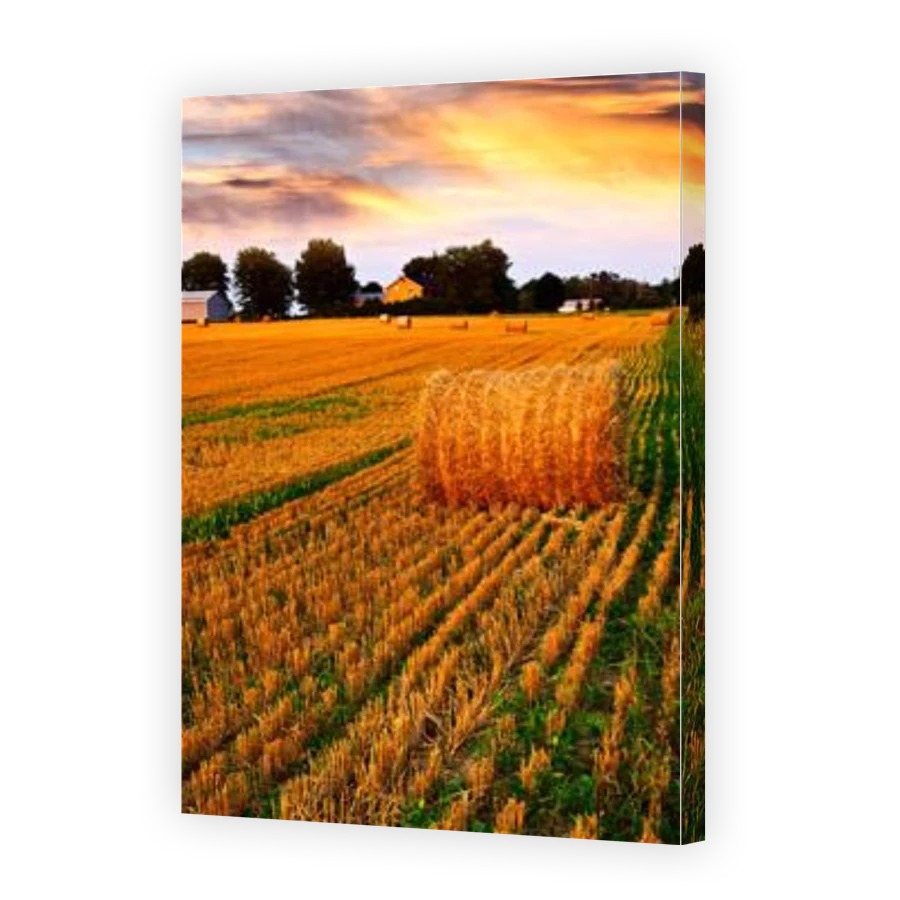 Thumbnail for Canvas - Gallery Canvas Wrap