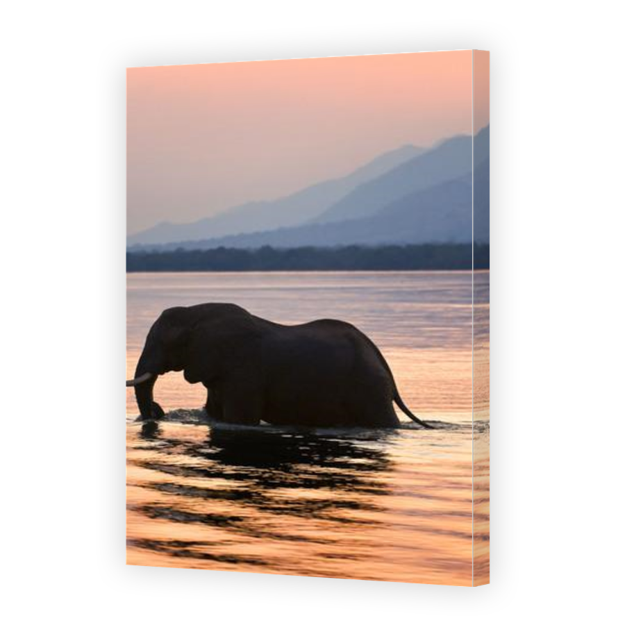 Thumbnail for Canvas - Gallery Canvas Wrap