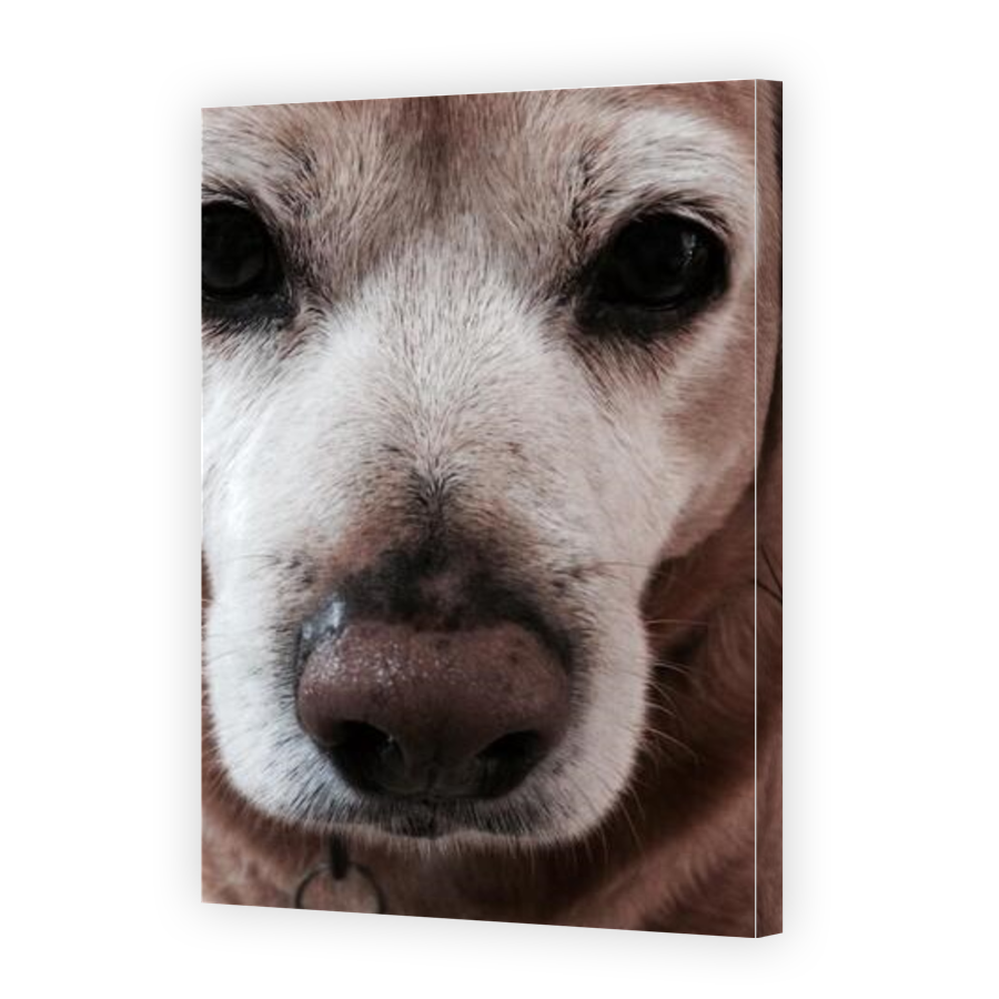 Thumbnail for Canvas - Gallery Canvas Wrap