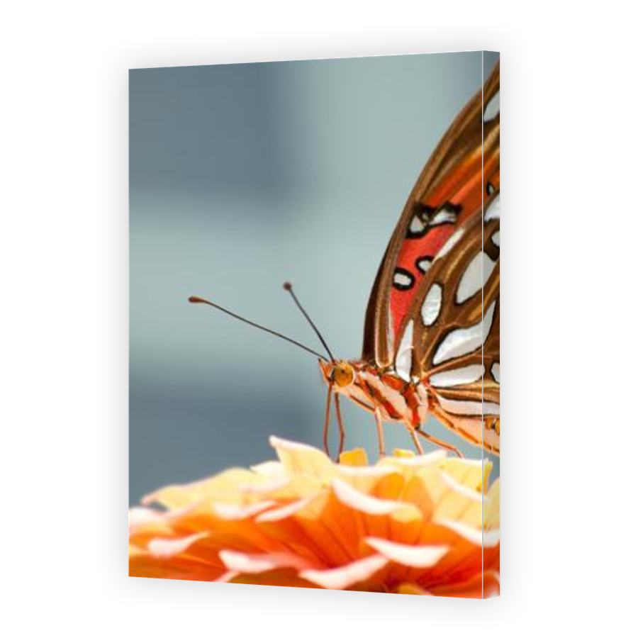 Thumbnail for Canvas - Gallery Canvas Wrap