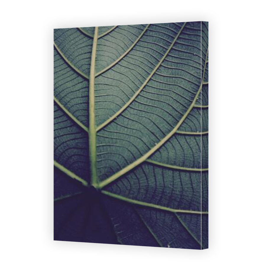 Thumbnail for Canvas - Gallery Canvas Wrap