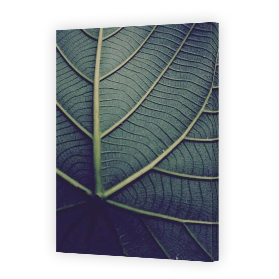 Thumbnail for Canvas - Gallery Canvas Wrap
