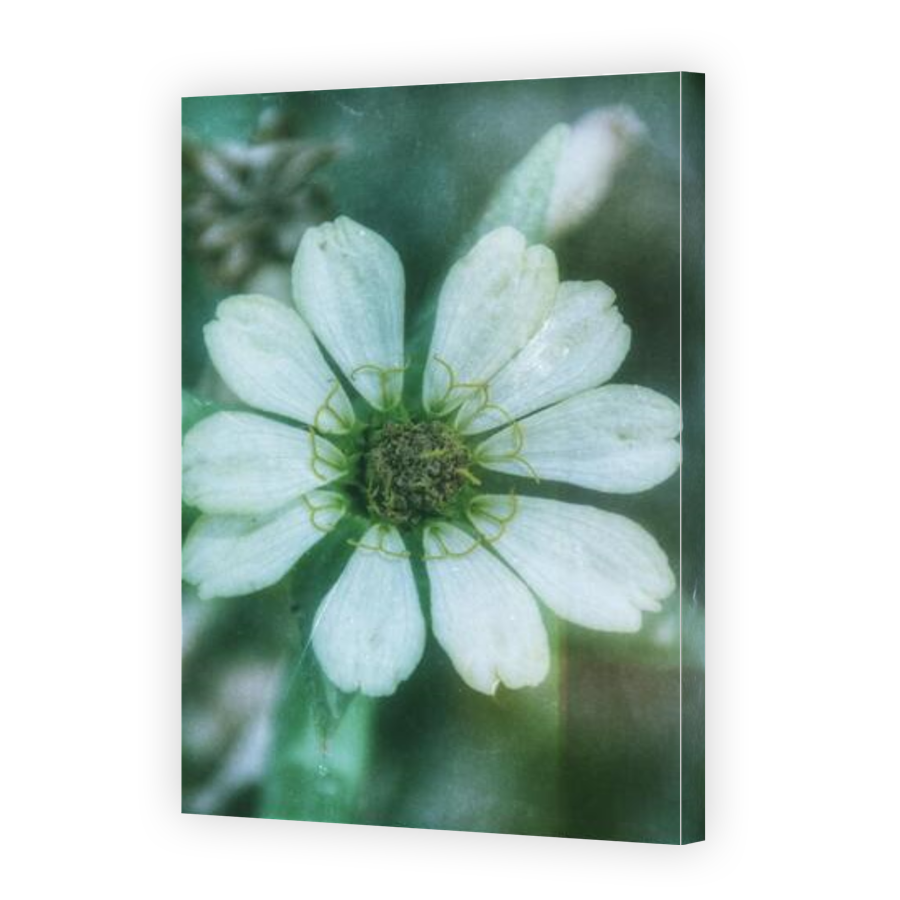 Thumbnail for Canvas - Gallery Canvas Wrap