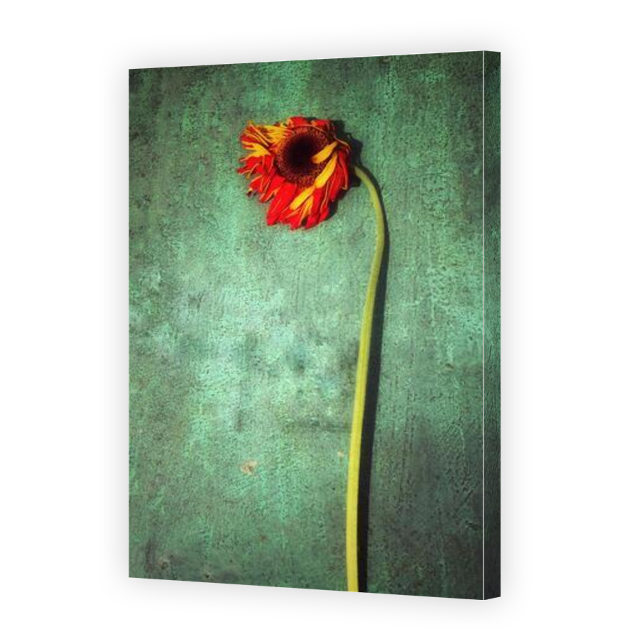 Thumbnail for Canvas - Gallery Canvas Wrap