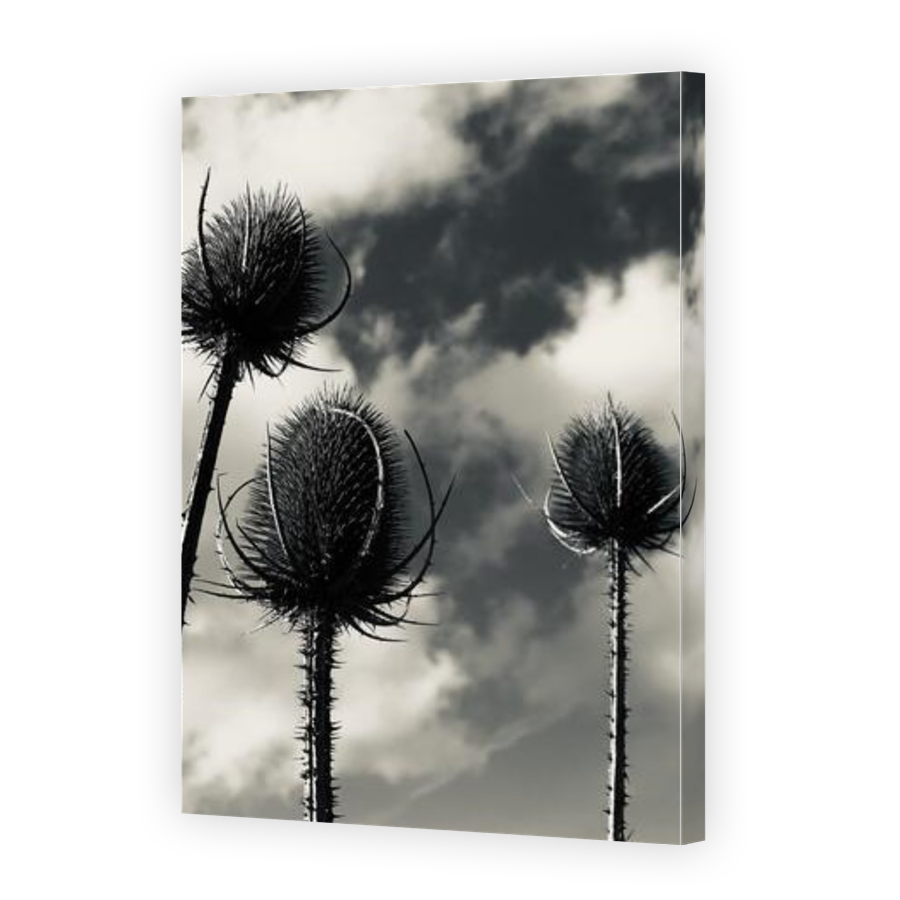 Thumbnail for Canvas - Gallery Canvas Wrap