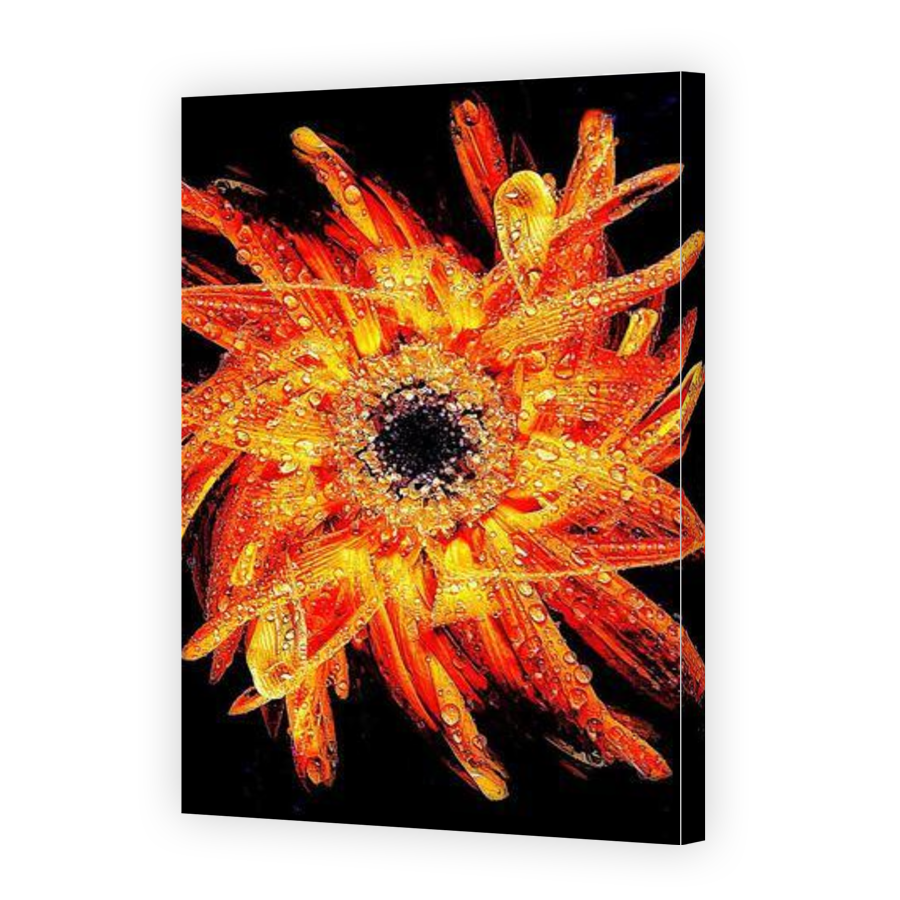 Thumbnail for Canvas - Gallery Canvas Wrap