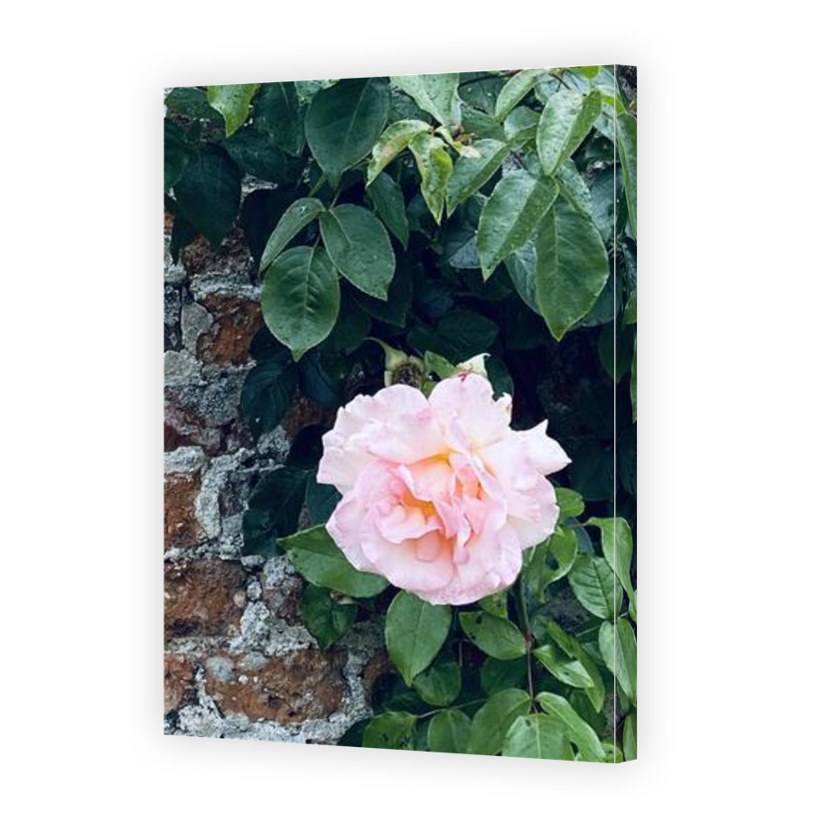 Thumbnail for Canvas - Gallery Canvas Wrap