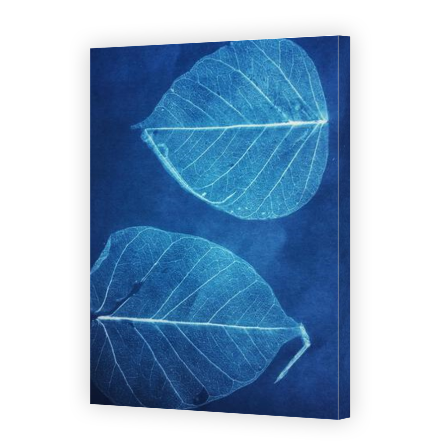 Thumbnail for Canvas - Gallery Canvas Wrap