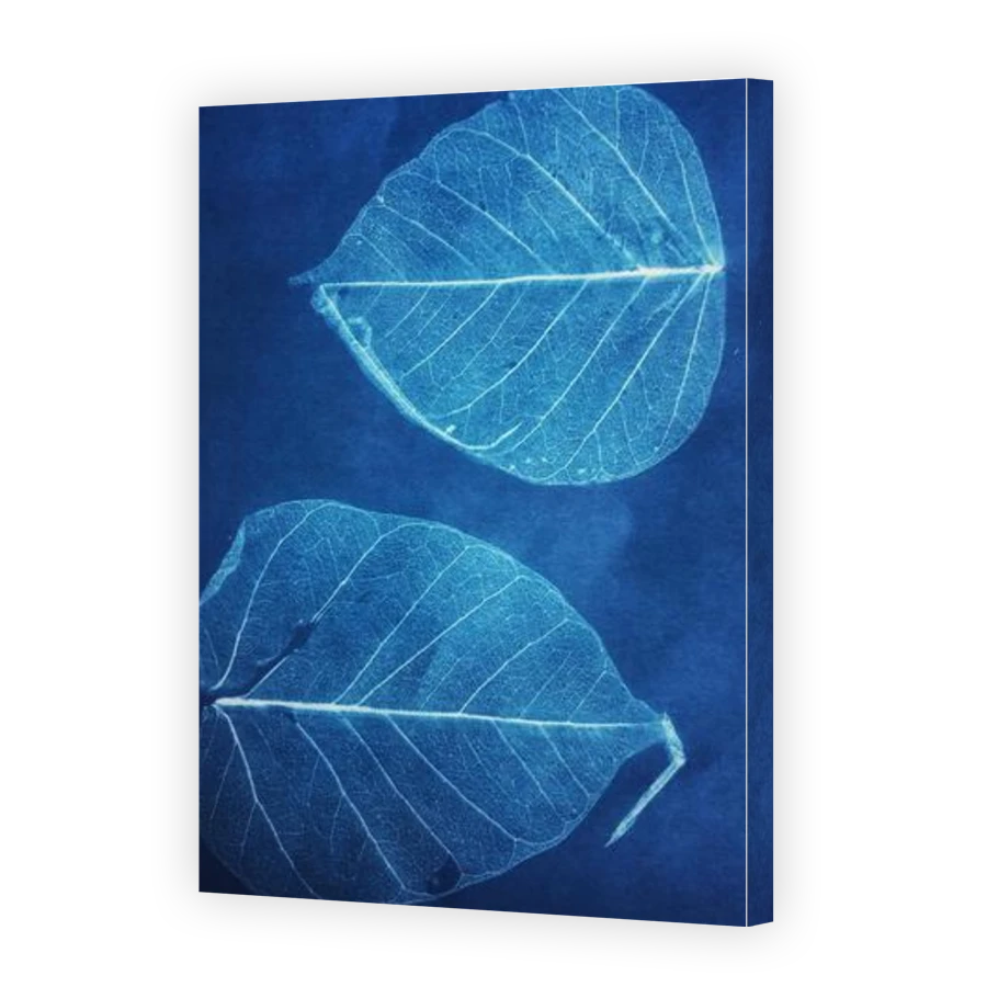Thumbnail for Canvas - Gallery Canvas Wrap