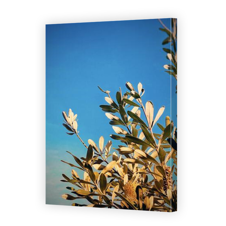 Thumbnail for Canvas - Gallery Canvas Wrap