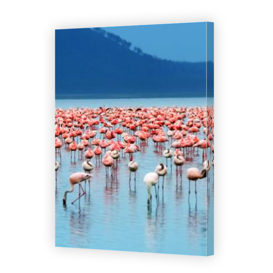 Thumbnail for Canvas - Gallery Canvas Wrap