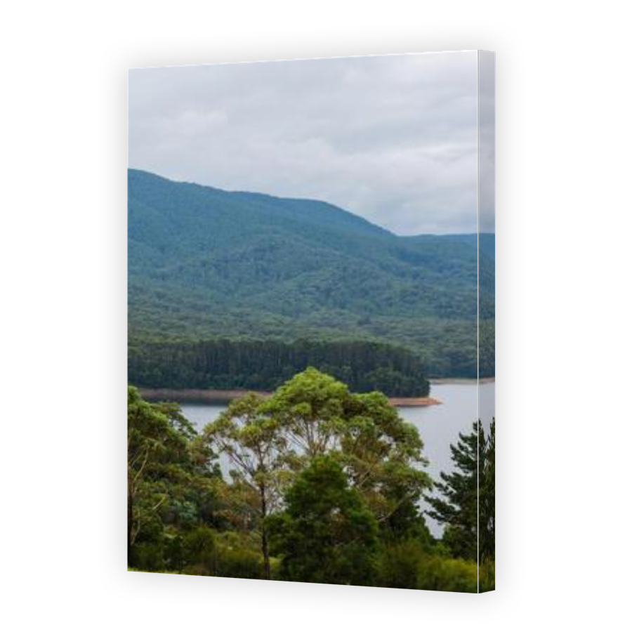 Thumbnail for Canvas - Gallery Canvas Wrap