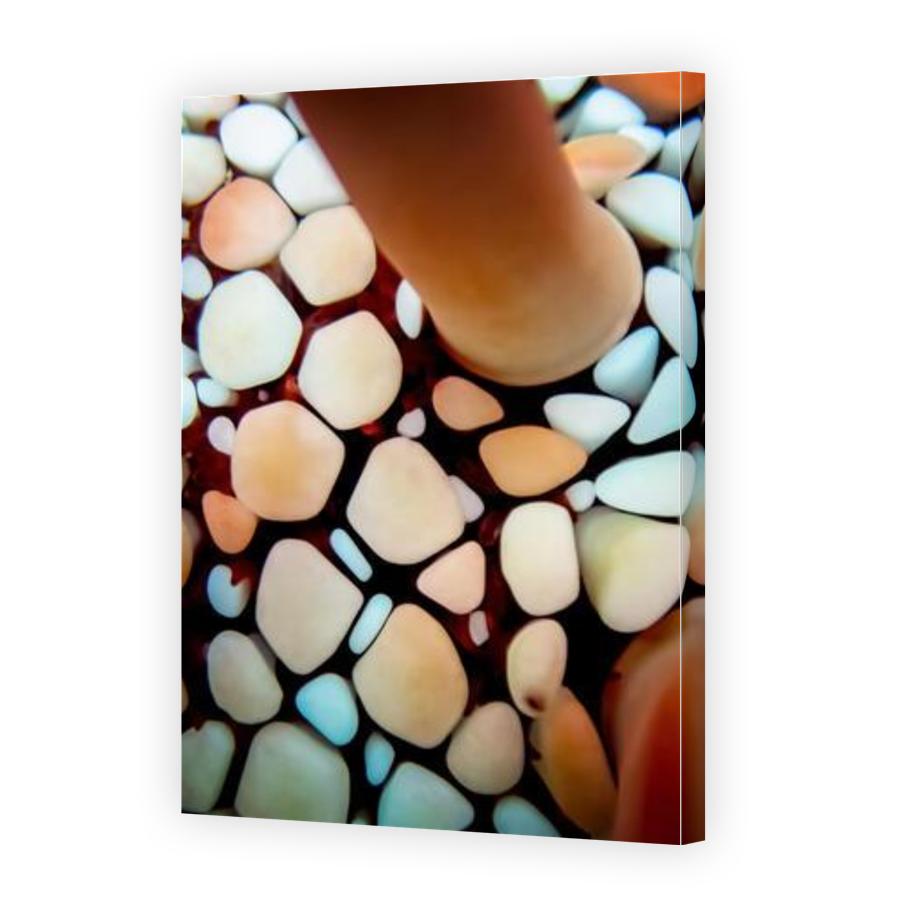 Thumbnail for Canvas - Gallery Canvas Wrap