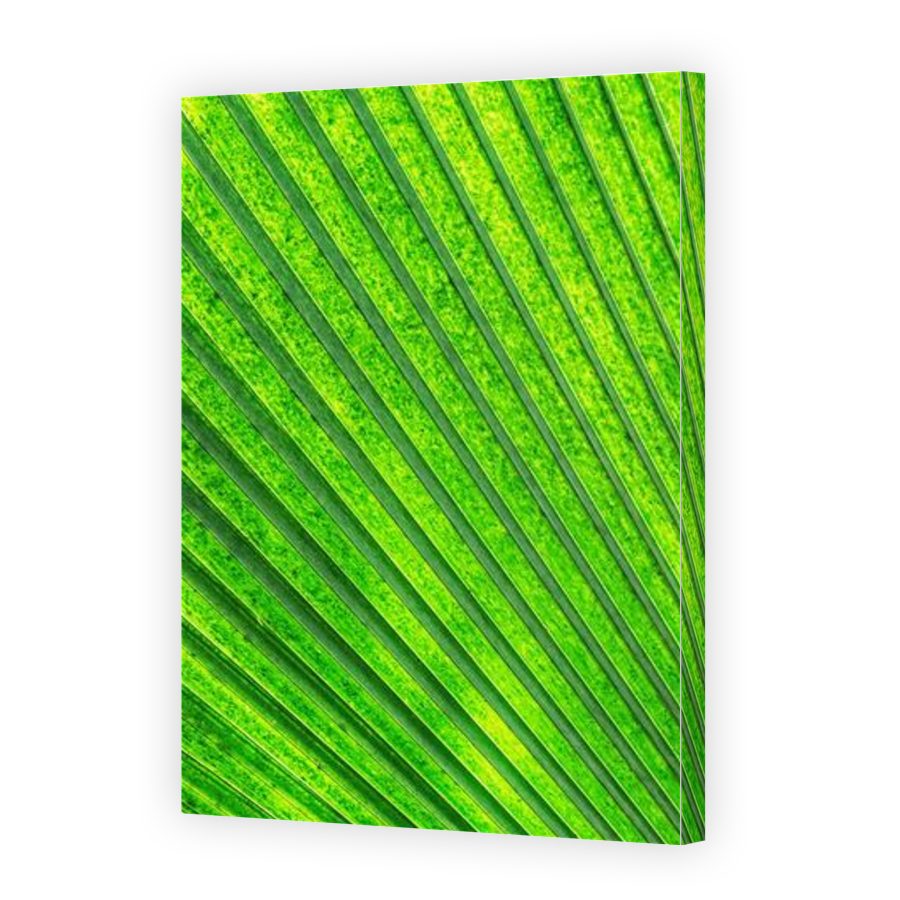 Thumbnail for Canvas - Gallery Canvas Wrap