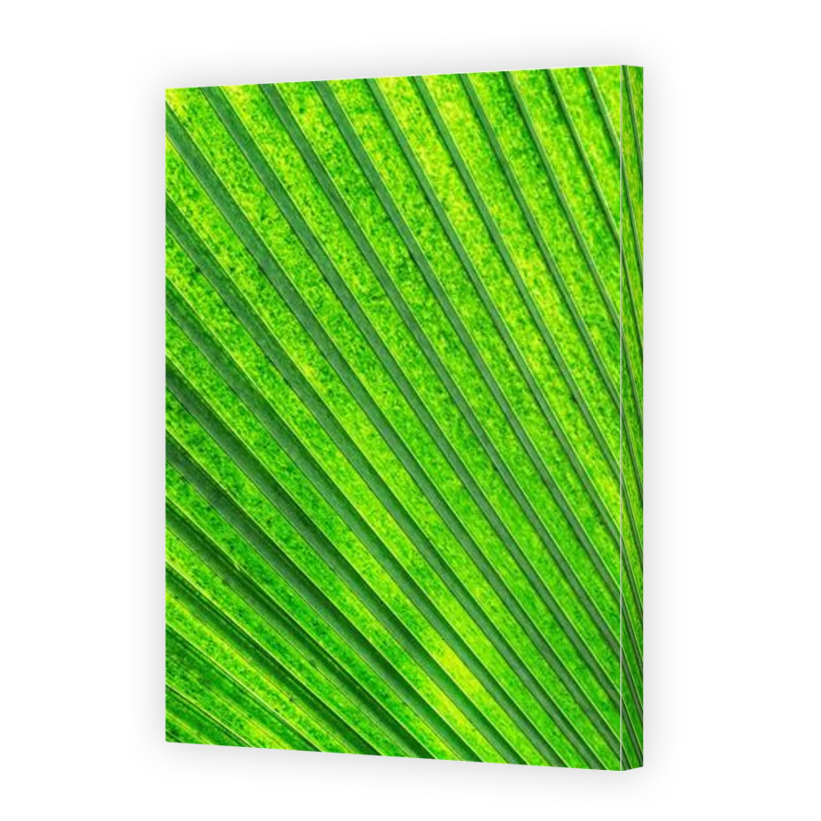 Thumbnail for Canvas - Gallery Canvas Wrap