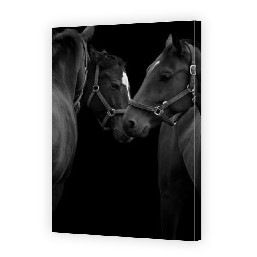 Thumbnail for Canvas - Gallery Canvas Wrap