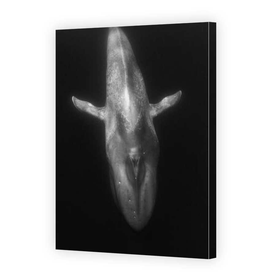 Thumbnail for Canvas - Gallery Canvas Wrap