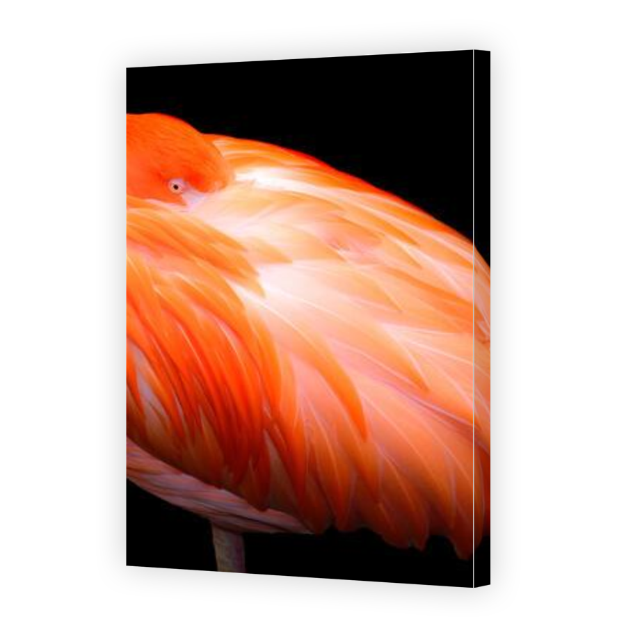 Thumbnail for Canvas - Gallery Canvas Wrap