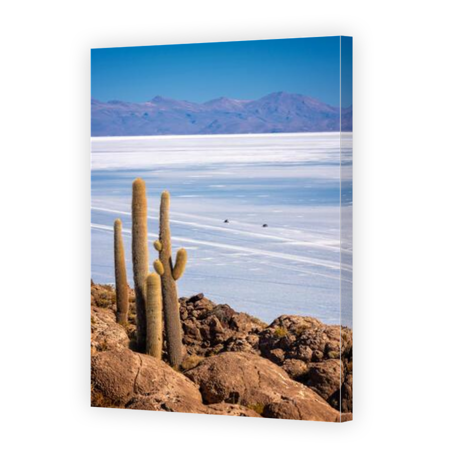 Thumbnail for Canvas - Gallery Canvas Wrap
