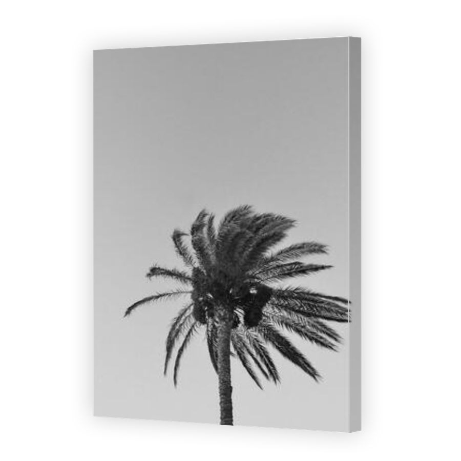 Thumbnail for Canvas - Gallery Canvas Wrap