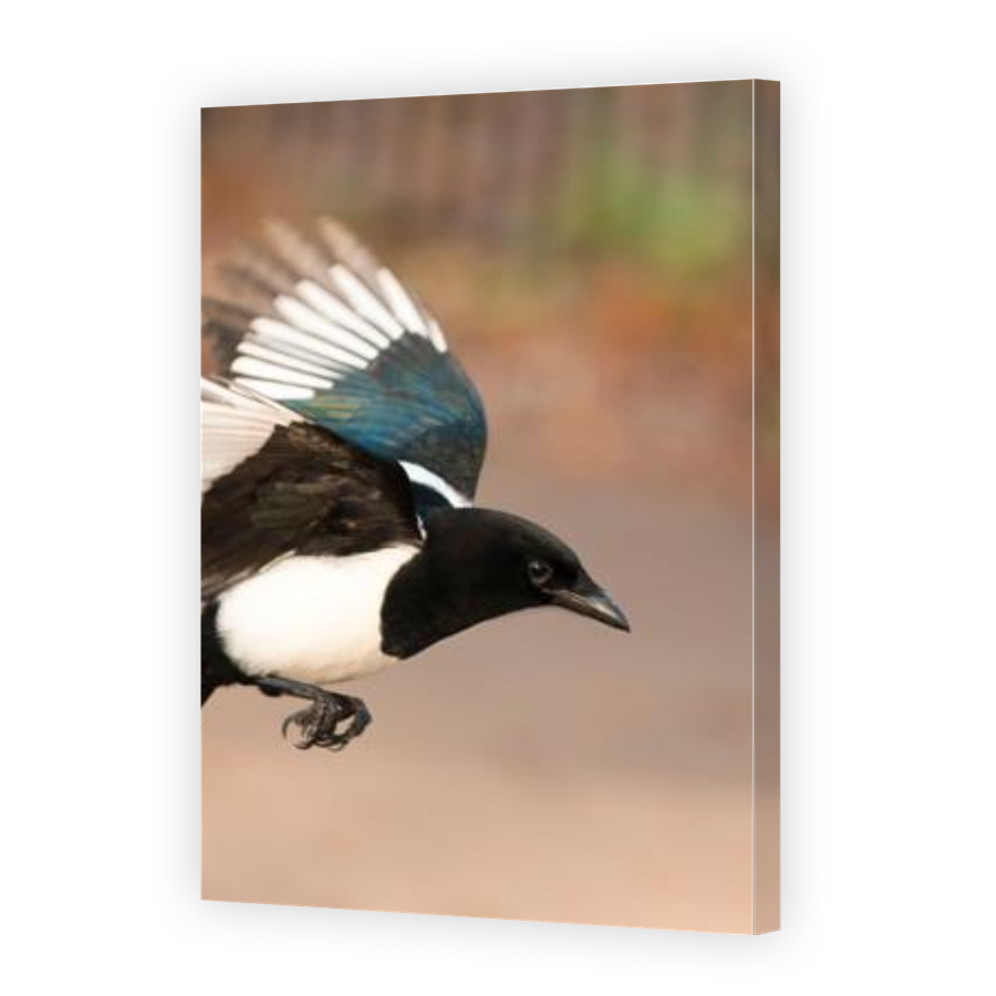 Thumbnail for Canvas - Gallery Canvas Wrap