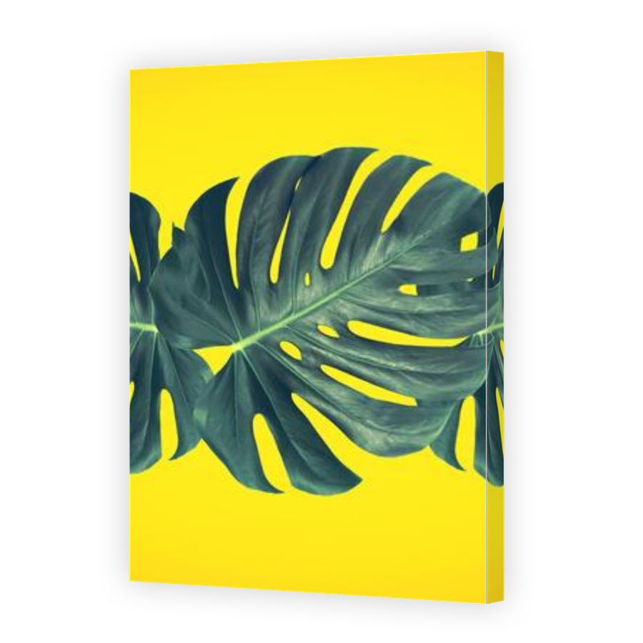Thumbnail for Canvas - Gallery Canvas Wrap