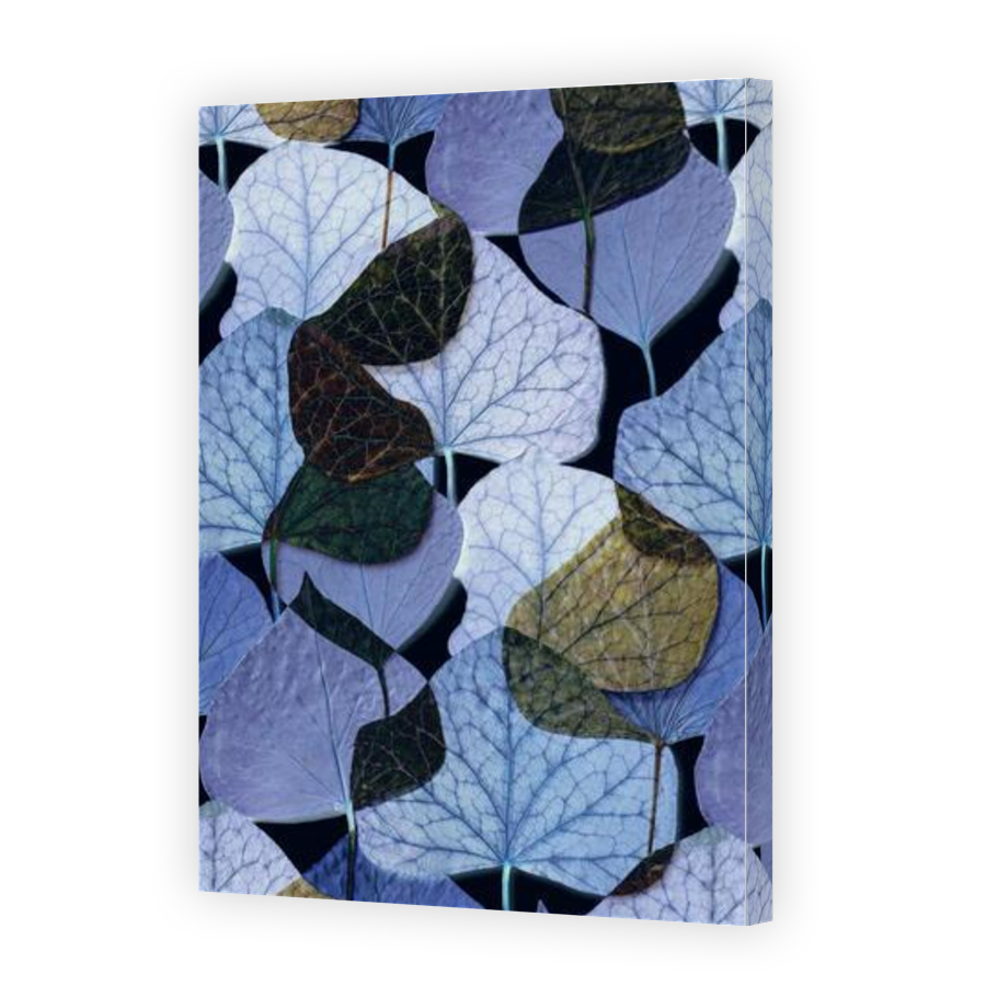 Thumbnail for Canvas - Gallery Canvas Wrap