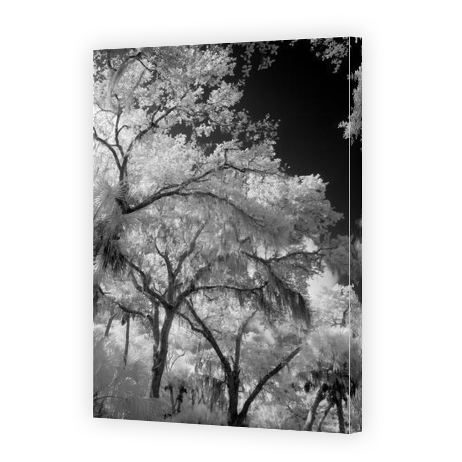 Thumbnail for Canvas - Gallery Canvas Wrap
