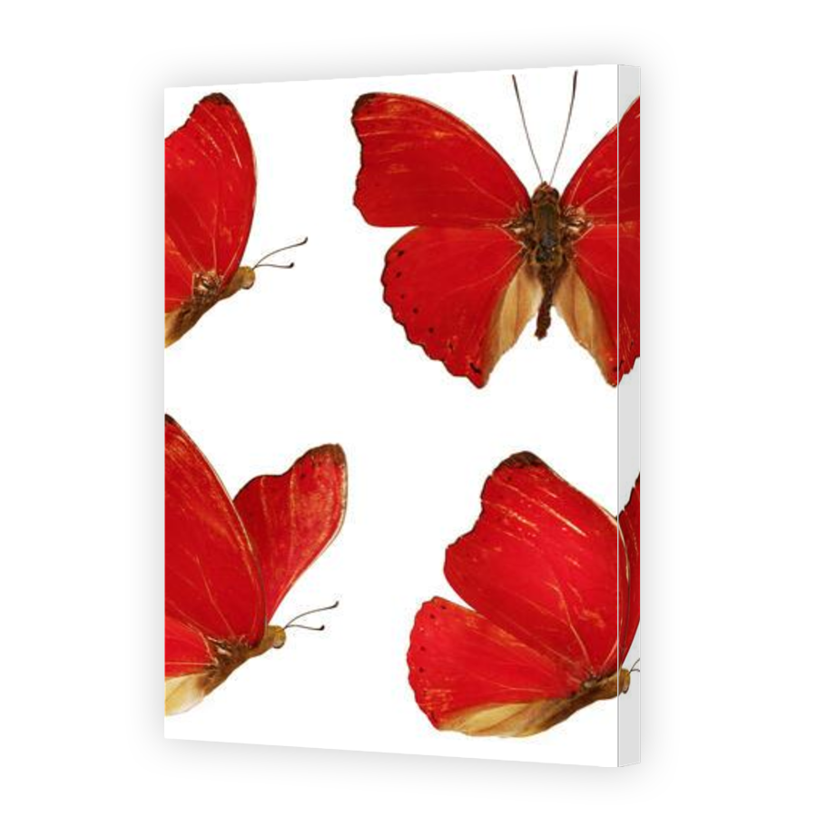 Thumbnail for Canvas - Gallery Canvas Wrap