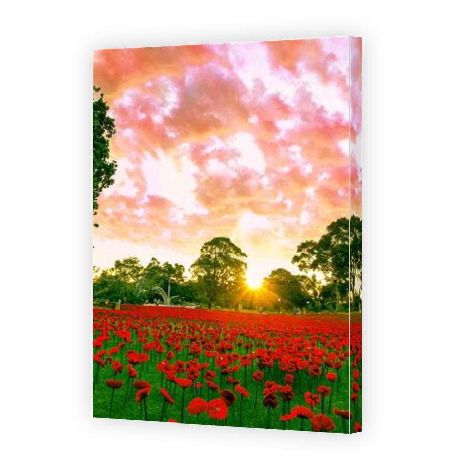 Thumbnail for Canvas - Gallery Canvas Wrap