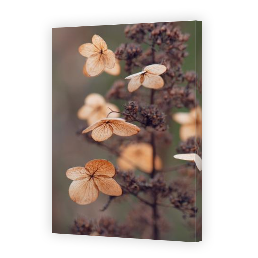 Thumbnail for Canvas - Gallery Canvas Wrap