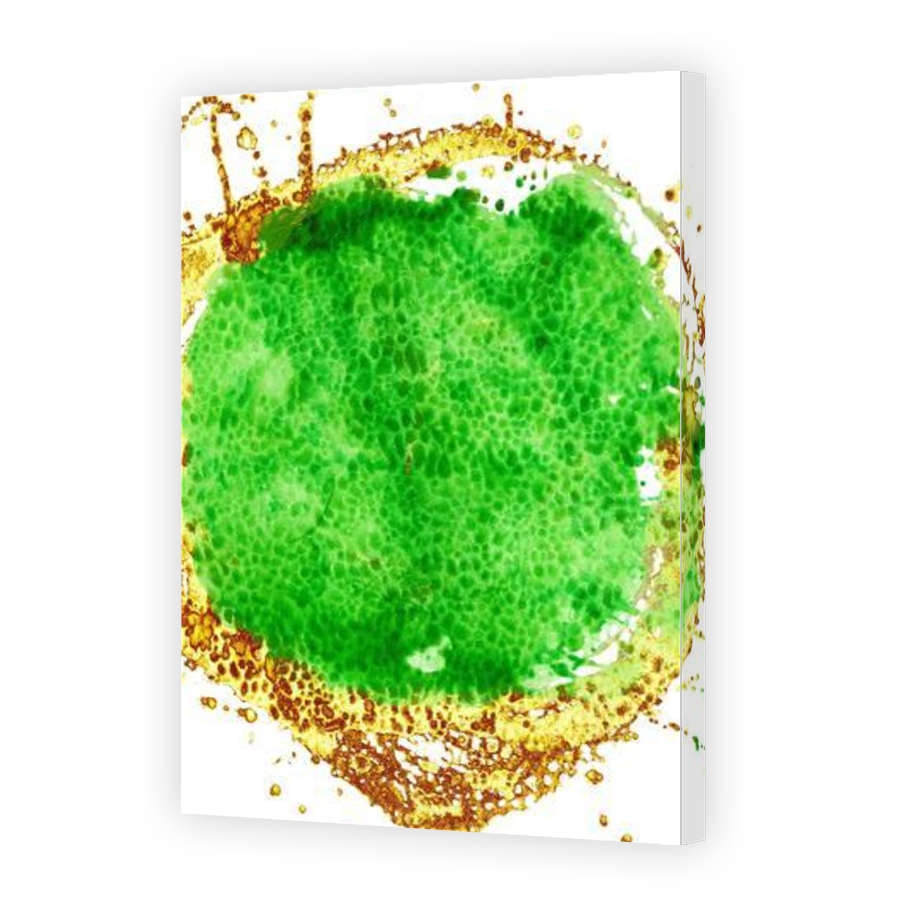 Thumbnail for Canvas - Gallery Canvas Wrap